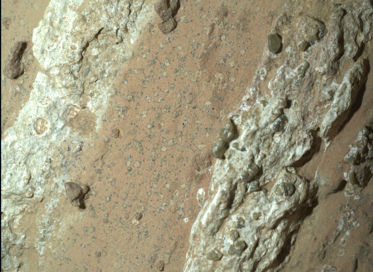 NASA JPL (@nasajpl) on Twitter photo Look closely 👀
These “leopard spots” on a Martian rock are clues pointing to possibly the best signs of ancient microbial life we’ve found yet on Mars. To know for sure, we need to study the rock in labs on Earth.
More on <a href="/NASAPersevere/">ARCHIVED - NASA's Perseverance Mars Rover</a>'s findings: go.nasa.gov/4bZaB6p Look closely 👀
These “leopard spots” on a Martian rock are clues pointing to possibly the best signs of ancient microbial life we’ve found yet on Mars. To know for sure, we need to study the rock in labs on Earth.
More on <a href="/NASAPersevere/">ARCHIVED - NASA's Perseverance Mars Rover</a>'s findings: go.nasa.gov/4bZaB6p