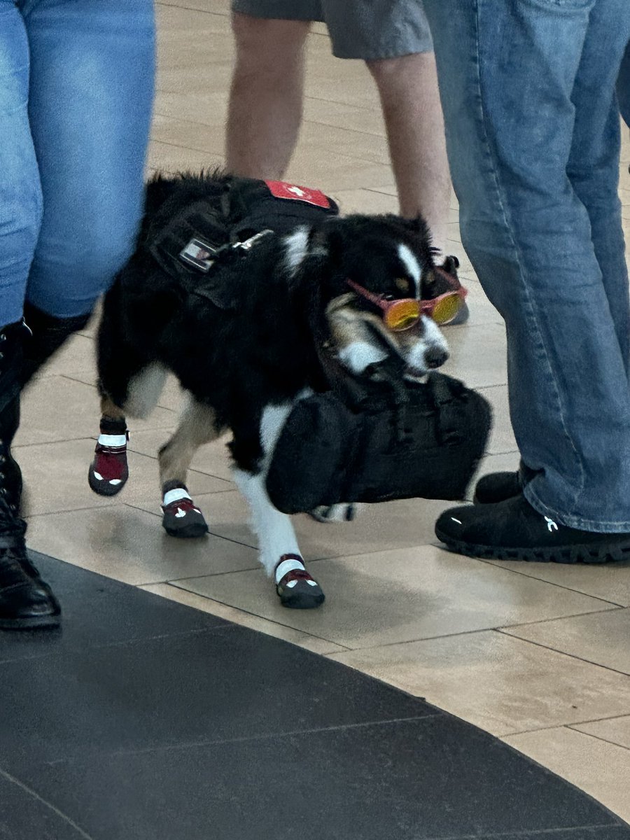 Sully 🤠 tweet media