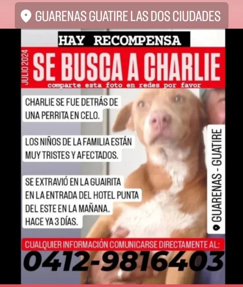 Su familia sigue buscando a Charlie