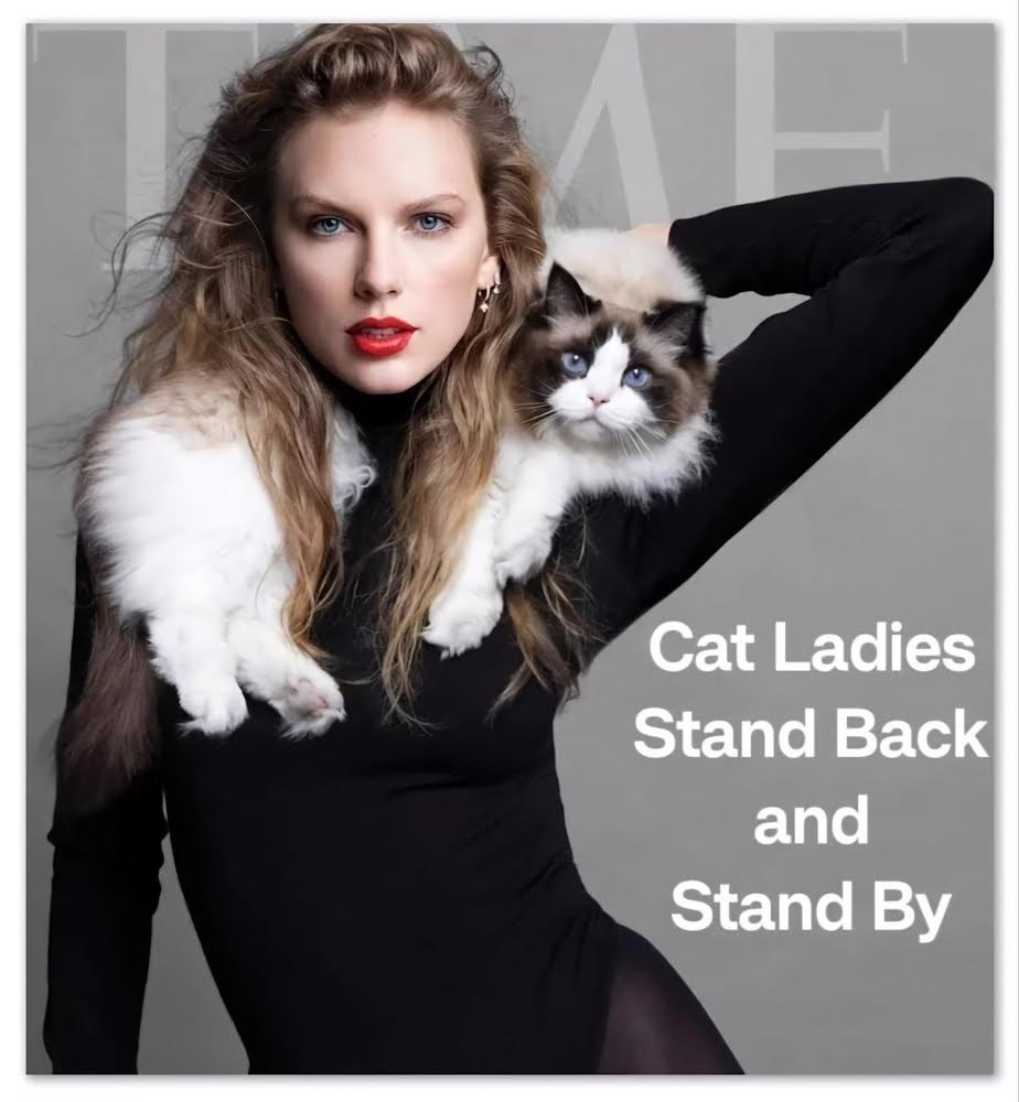 POW_Vote's tweet photo. Hmm. Great response #JenniferAniston. Mr. Vance is alienating an entire community of voting women by misinterpreting the reasons why women may not have children. 

Purrrrfect image choice &amp; clap back @BetteMidler.

#CatLady #CatLadies #CatLadies4Kamala #ChildlessCatLadies https://t.co/rr07Vo3Ypv