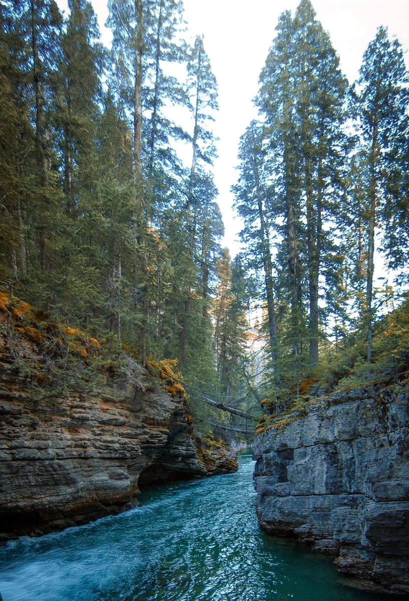 J_MacIndoe's tweet photo. Thinking back on the wonderful summer I spent living in Jasper, Alberta in 2005. Jasper National Park was a piece of heaven on earth. My heart goes out to everyone affected by the wildfires. https://t.co/5fZSpIgBWt