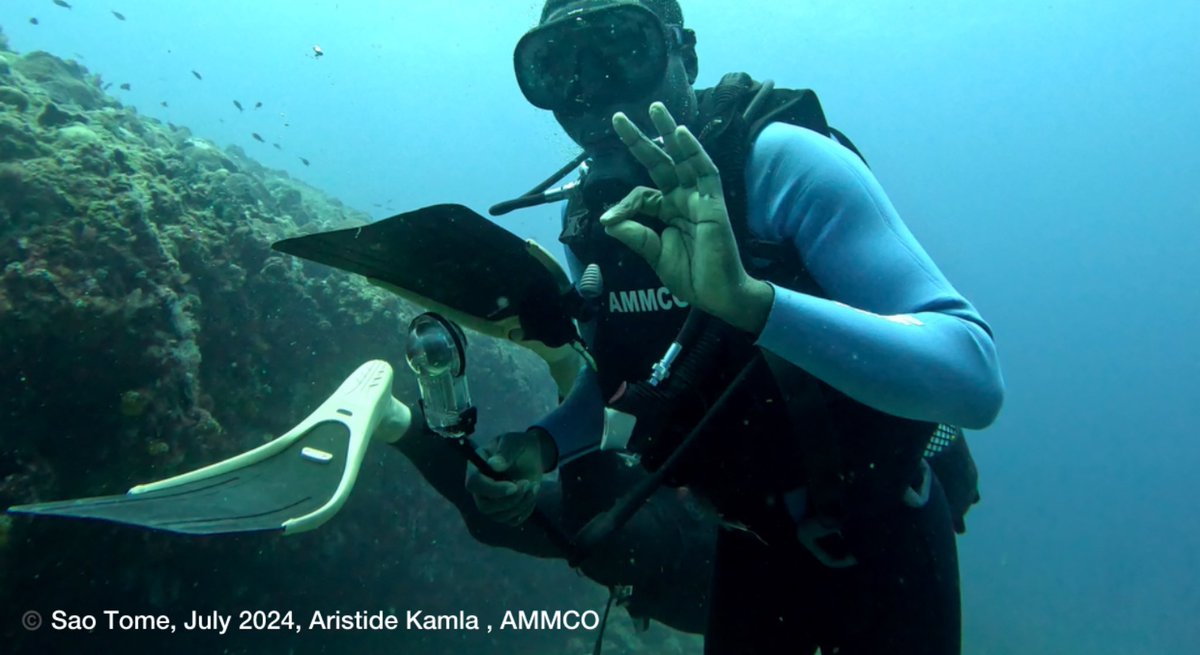 Happy Day of Africa’s Seas and Oceans!.
It’s amazing how far we have come in accessing our oceans. 
In the same spirit, mark your calendars! The Street Whale Festival is coming up from December 4 to 7 in Kribi. Join us to foster collaborations in protecting our oceans.