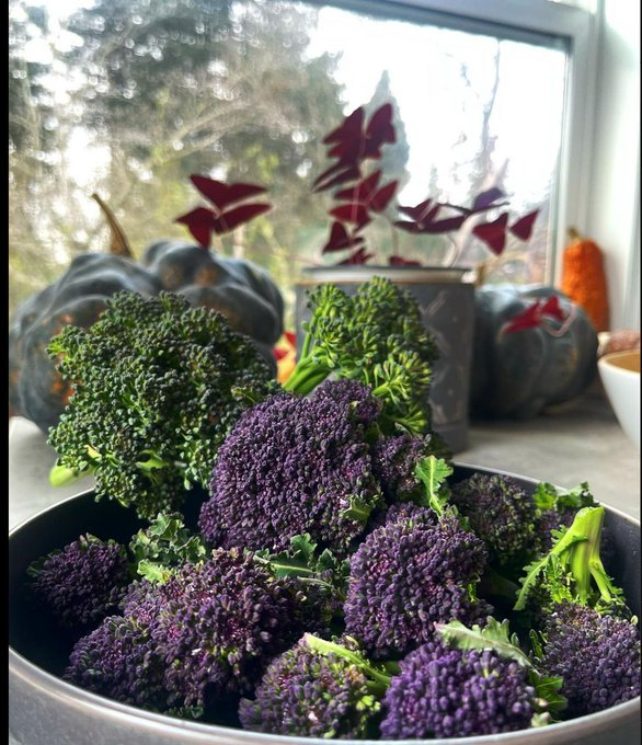 Ever had purple sprouting broccoli? It's delicious! https://t.co/VVkQi8sstE