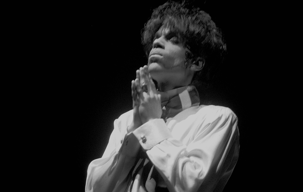 Princ3ipal tweet media