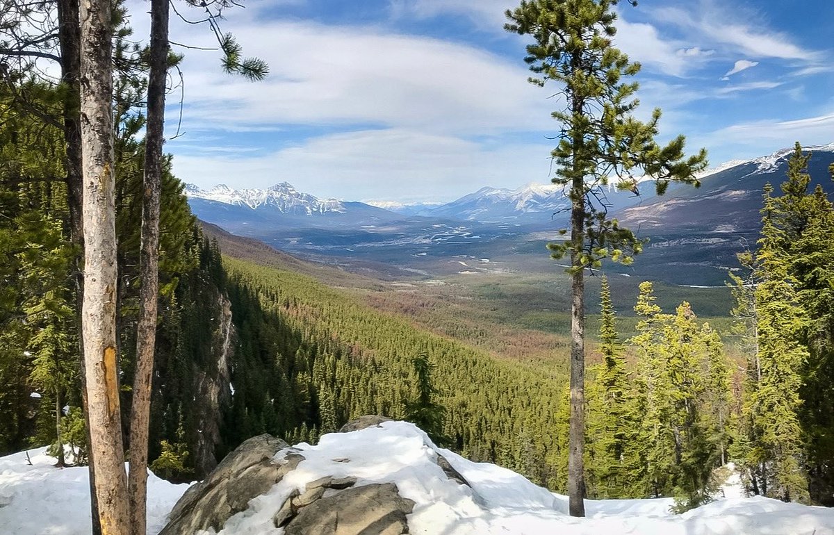 Our hearts go out to our Jasper friends and family during this challenging time. Anohka and Parkland County stands with you and cherishes the community deeply. ❤️ #ABWildfire #Jasper