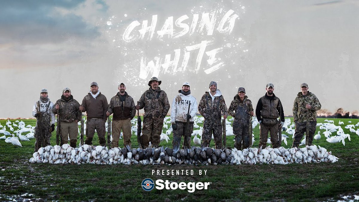 Stoeger Presents: Chasing White | A DIY Snow Goose Film ~ VIDEO dlvr.it/TB44Y7