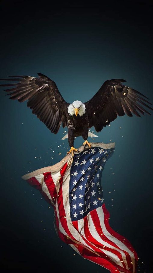 anthony349will1's tweet photo. @VP UNITED FOR ALL https://t.co/Sy6uUvmDf0