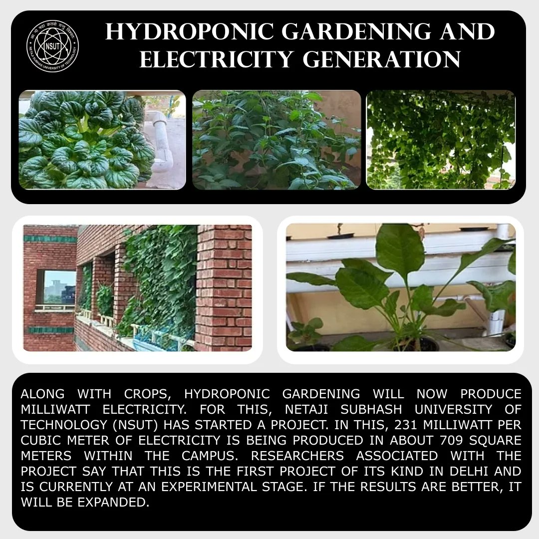 Netaji Subhas University of Technology tweet media