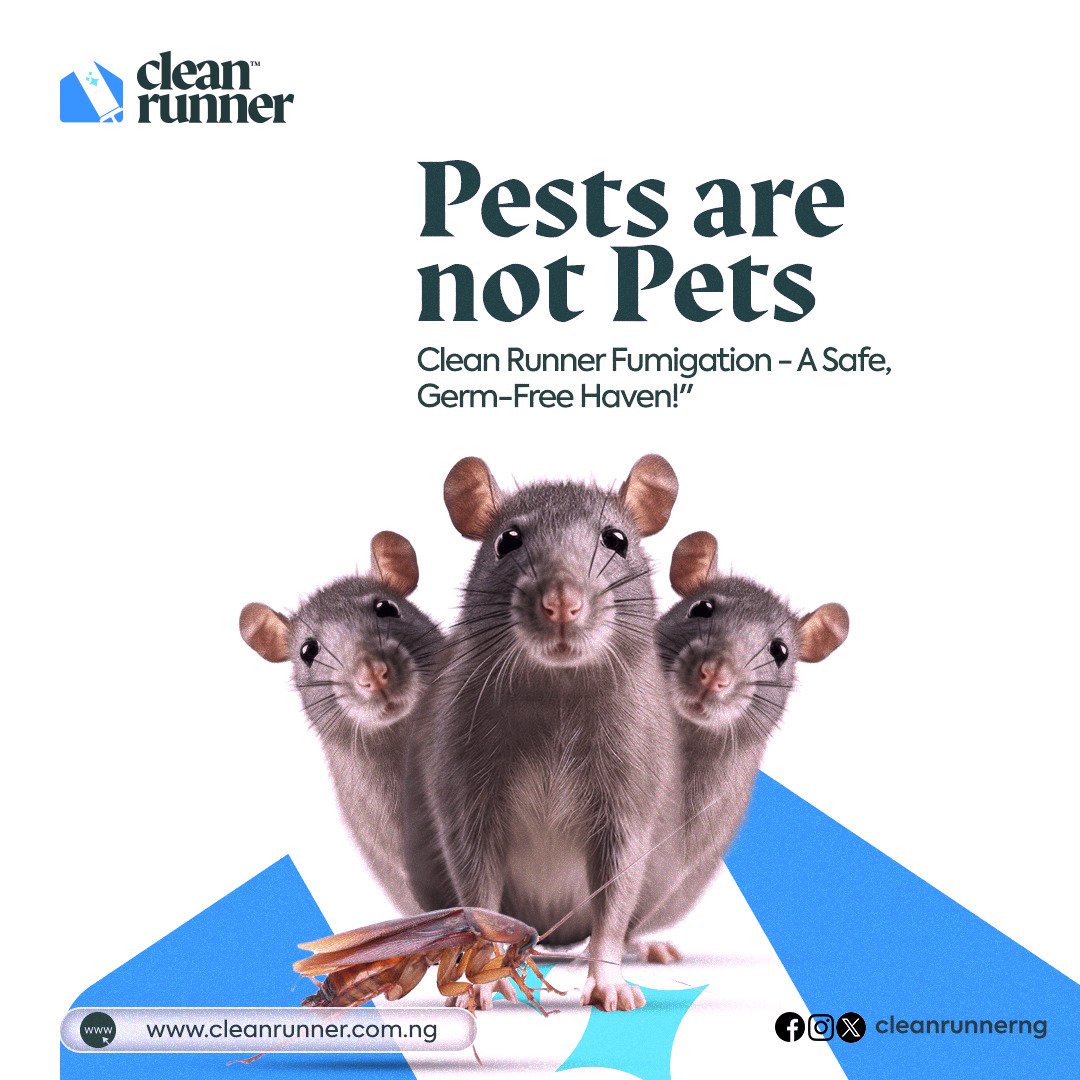 cleanrunnerng's tweet photo. @TheQueenAminat Whatever you do, avoid bedbugs. They are difficult to deal with. Ready to follow you to any apartment you move into. You will need an effective treatment to deal with it, and that's where we come in.  Visit https://t.co/ut8wx7nITl https://t.co/iPcE99yAKf