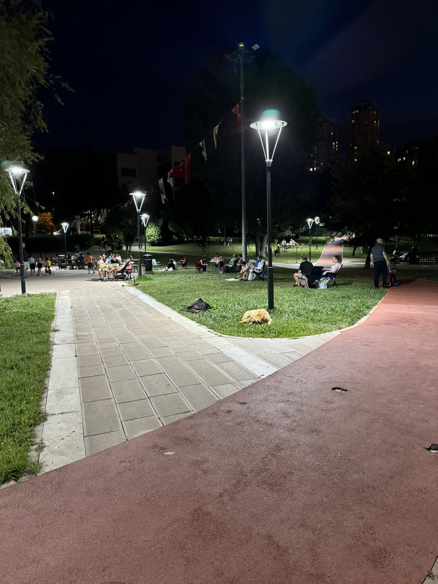 Halk köpeklerle içiçe olmaktan gayet memnun
Çocuklar top oynuyor köpekler karınları tok yatıyor aileler kahve içiyor
Size ne oluyor yahu ne oluyor?
#YasayiGeriCek