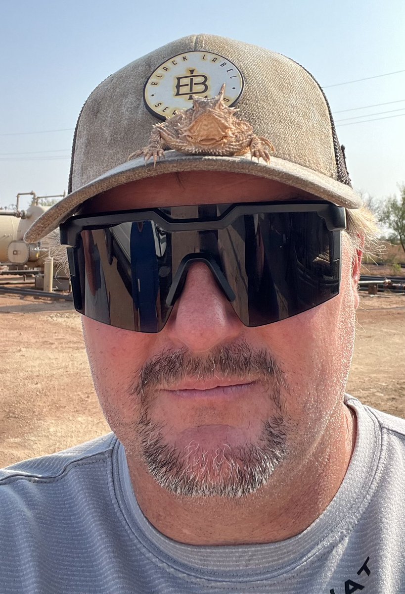 Jake Ward tweet media