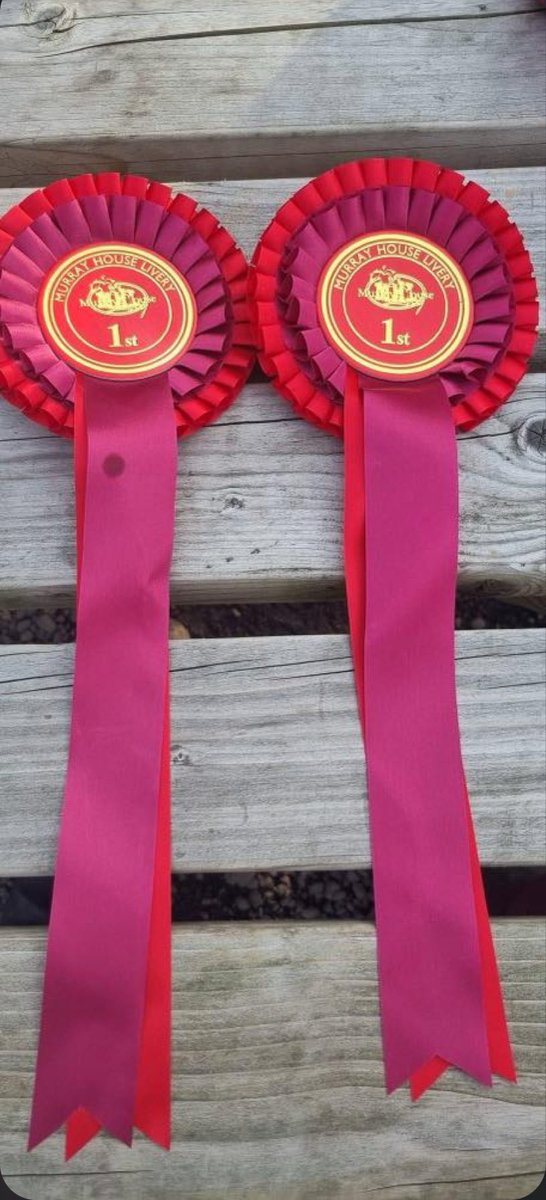 This horse was nearly put to sleep until we intervened and now both are helping each other. Rob is ex Cavalry and is learning to ride a totally different way. This was his first show of their 8 week partnership and gets 2 first places
#horse #volunteer <a href="/DCMS/">Department for Culture, Media and Sport</a> <a href="/CumbriaCVS/">Cumbria CVS</a>