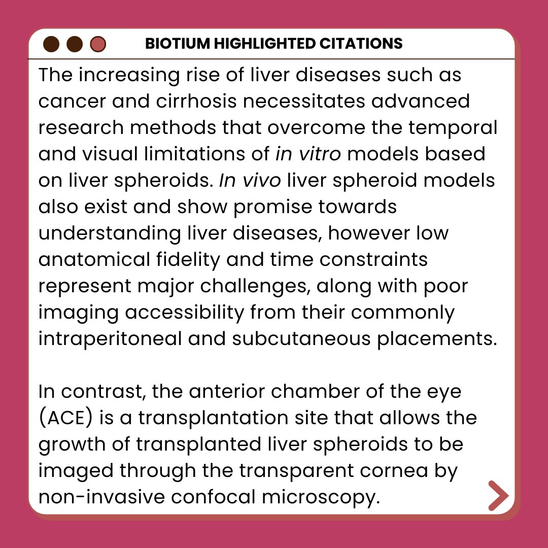 biotium's tweet photo. Live-Or-Dye NucFix™ Red Validated For Viability Staining Of Liver Spheroids

Read here: https://t.co/g4CMcWPhtc

Technologies utilized:
Live-or-Dye NucFix™ Red Staining Kit

#sciencearticle #scienceread #naturecommunications #cancerresearch #liverresearch #spheroids #invitro https://t.co/FPD2cE8tUq