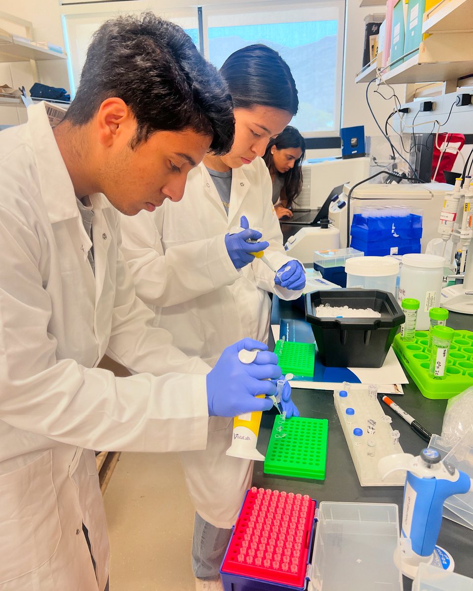 The Chaturvedi Lab (@chaturvedi_lab) on Twitter photo On #NationalInternsDay, a huge shoutout to our lab’s inaugural #CIRM STRIDE interns, Jonathan and Isabella! 👏🌟 <a href="/UCR_ScienceNews/">UCR Science News</a> #chaturvedilab On #NationalInternsDay, a huge shoutout to our lab’s inaugural #CIRM STRIDE interns, Jonathan and Isabella! 👏🌟 <a href="/UCR_ScienceNews/">UCR Science News</a> #chaturvedilab