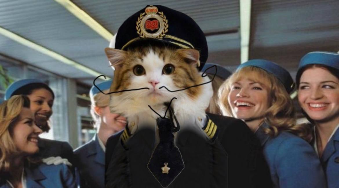 Catch me in TG ✈️😸
t.me/NCATERC

#NCAT $NCAT #ERC20 #ETHEREUM #MEME #MEMECOIN #FIRSTMOVER #NEURALINK @NEURALINK #FIRSTMINDMADEMEME