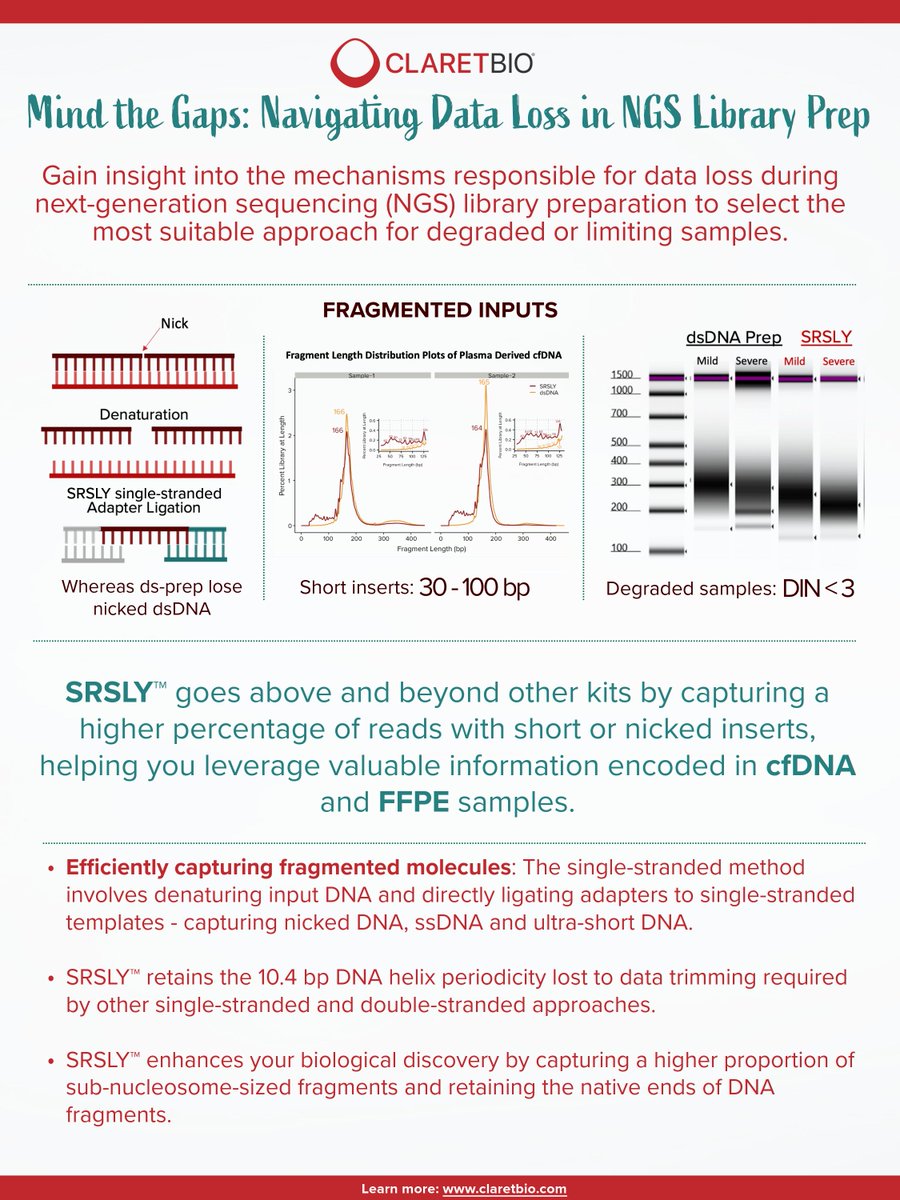 ClaretBio's tweet photo. SRSLY, don't let data loss hold back your research. Explore our infographic to see the clear benefits of single-stranded library prep in #cfDNA and #FFPE samples!
#SRSLY #REALLY #NGS https://t.co/Zl5tRLWwqD