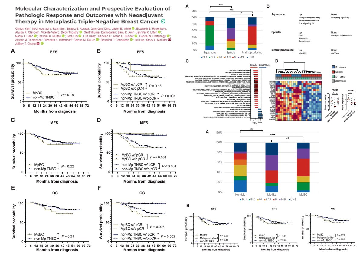 HaoYin20's tweet image. #MetaplasticBreastCancer #WholeExomeSeq #Transcriptomics

ARTEMIS trial NCT02276443
Core needle biopsy

IHC
PD-L1 &amp;amp; Ki-67
MpBC &amp;lt; non-Mp Tri-neg breast cancer/TNBC🧐

WES
Mut TP53 59%, PIK3CA 23%, other PI3K components 41%
Amp EGFR 17%

RNAseq
25 MpBC + 153 non-Mp TNBC
MpBC▶️EMT