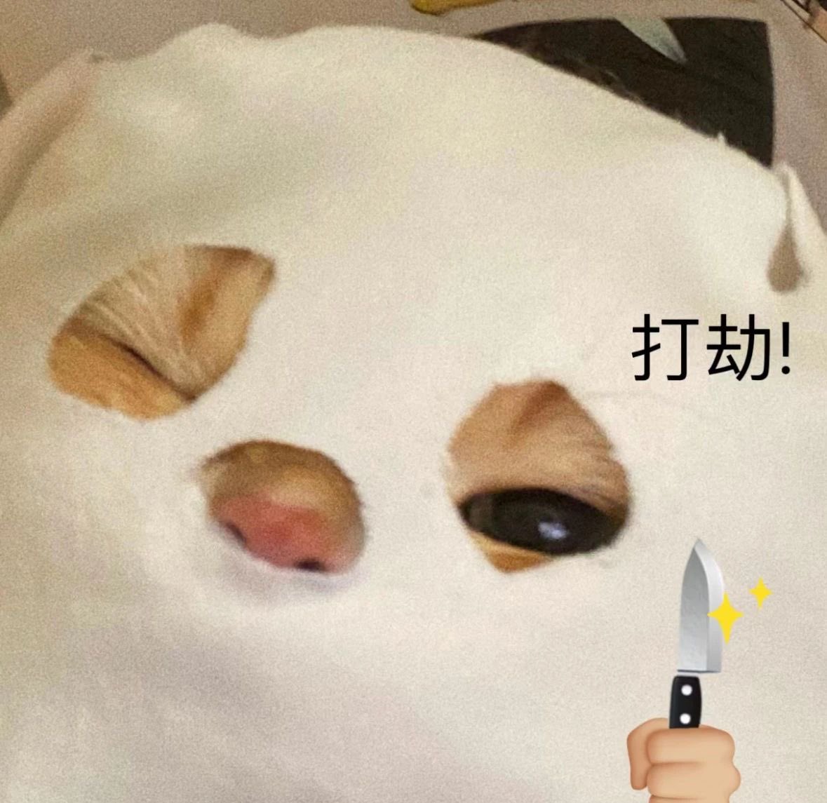 下播了那个一下吧  在b站封怕了 在抖音畏畏缩缩的不敢明着讲逼话 我要冲狠狠 有没有人和我一起 https://t.co/uJ1iCmjbfQ
