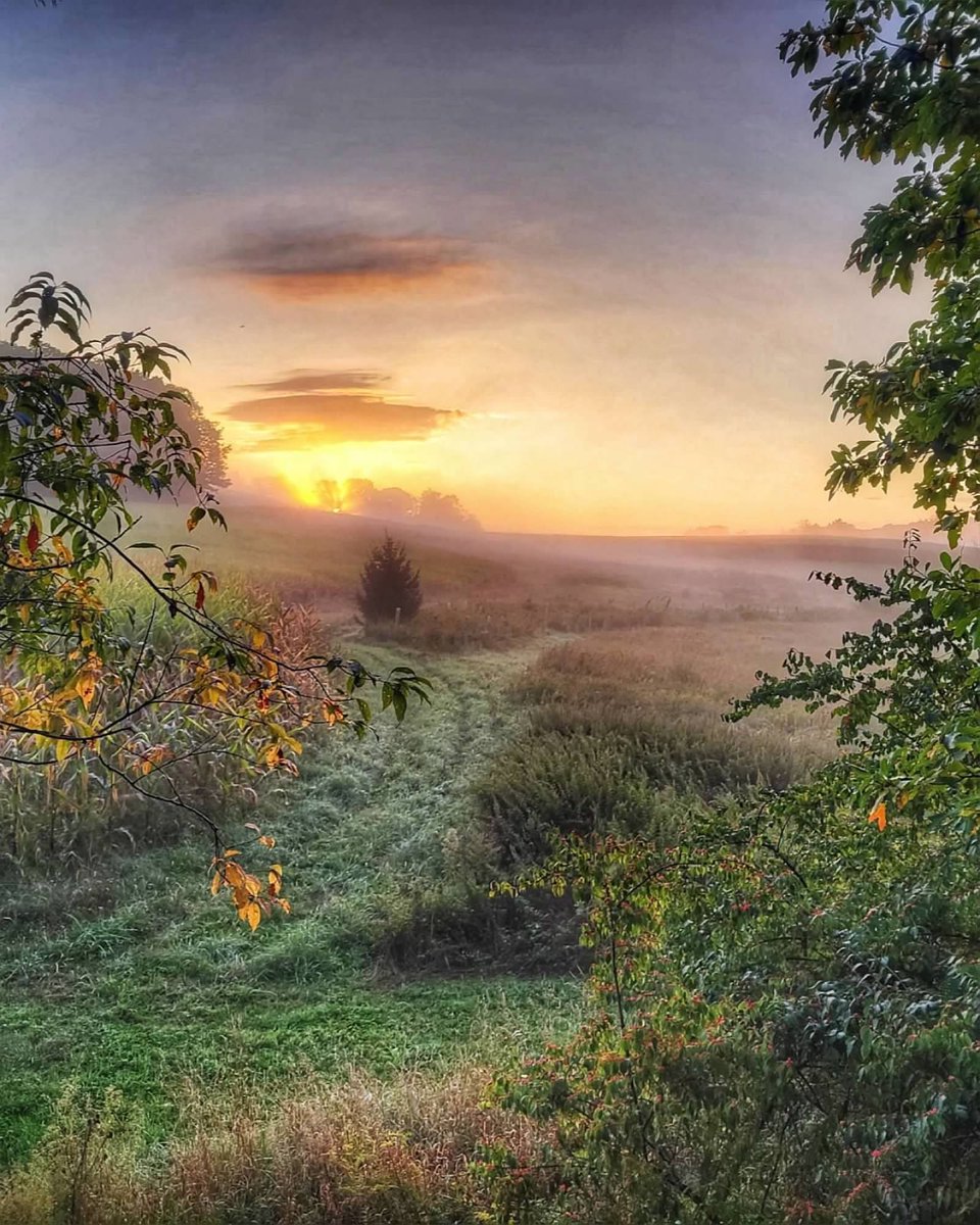 g2buck_'s tweet photo. FALL MORNINGS ARE THE BEST! #hunter https://t.co/PkuOOa74Rc