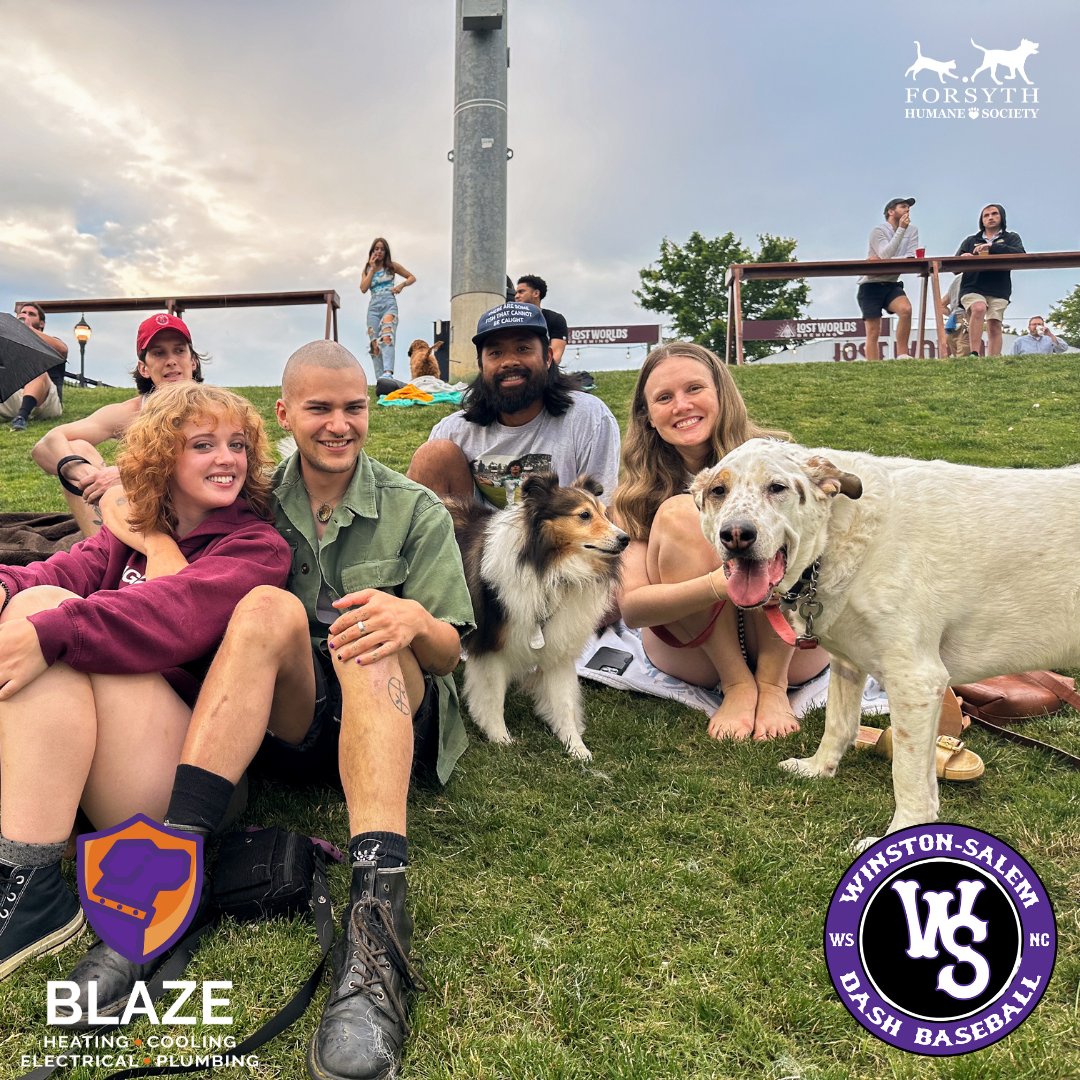 Forsyth Humane Society tweet media