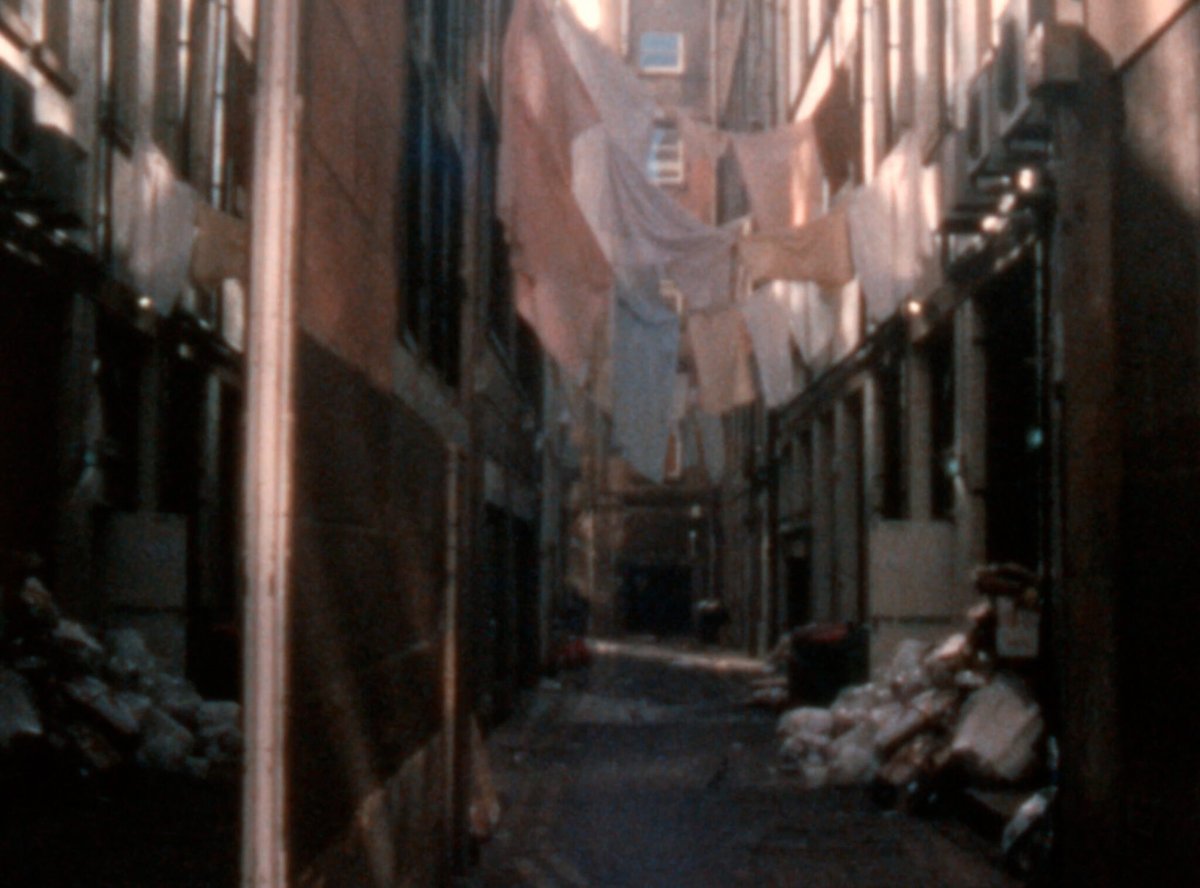 canyoncinema's tweet photo. Canyon Cinema is pleased to announce that ten new digital files from longtime artist member Mark Street, encompassing work completed since 2019, are now available.
Info: https://t.co/vxBxtLw5Ob
#MarkStreet https://t.co/u9p0KPcP3N