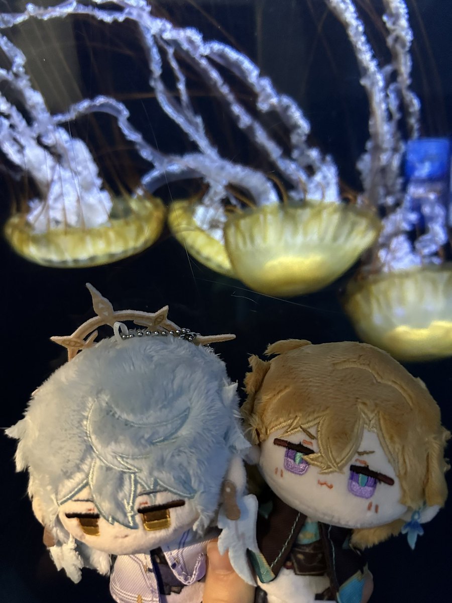 avenplush's tweet photo. Sunturine aquarium date https://t.co/YHRLLnyQpU