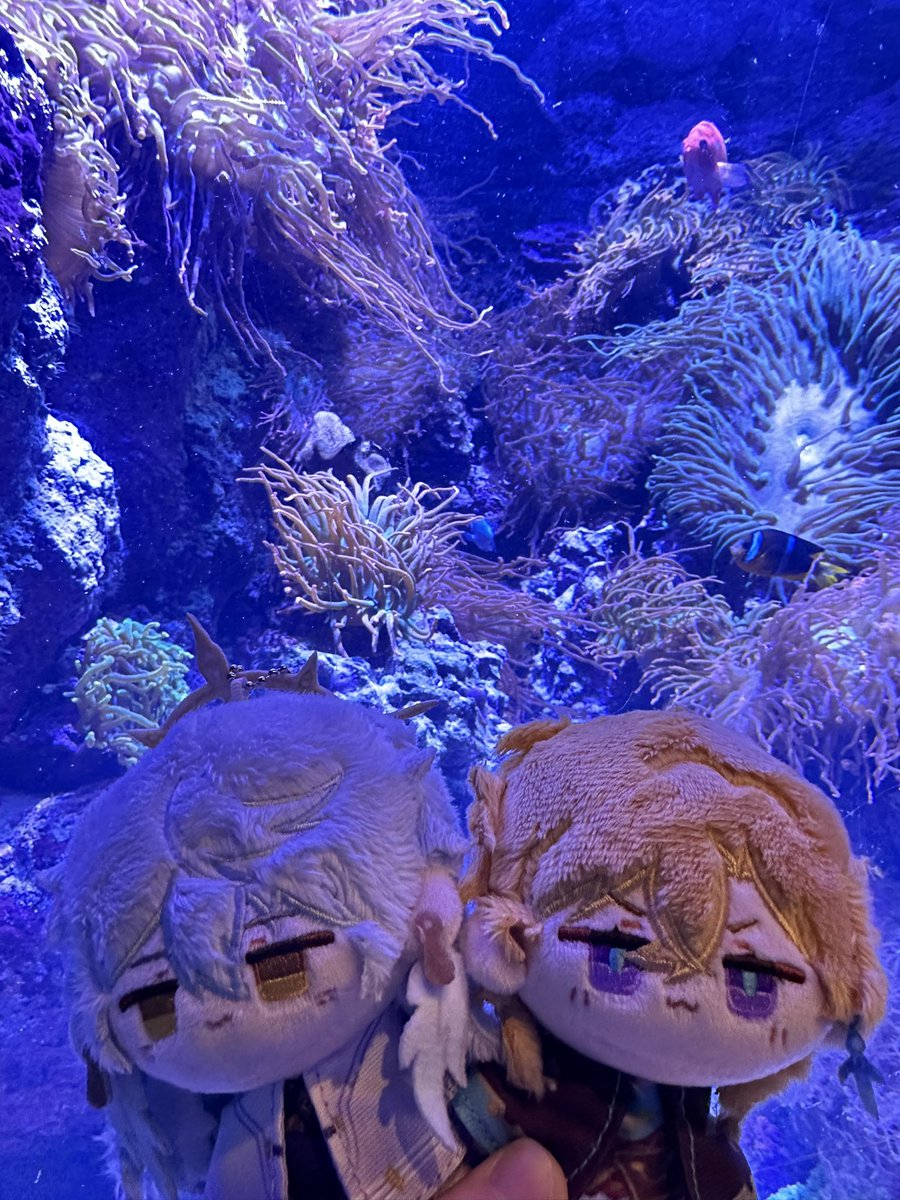 avenplush's tweet photo. Sunturine aquarium date https://t.co/YHRLLnyQpU