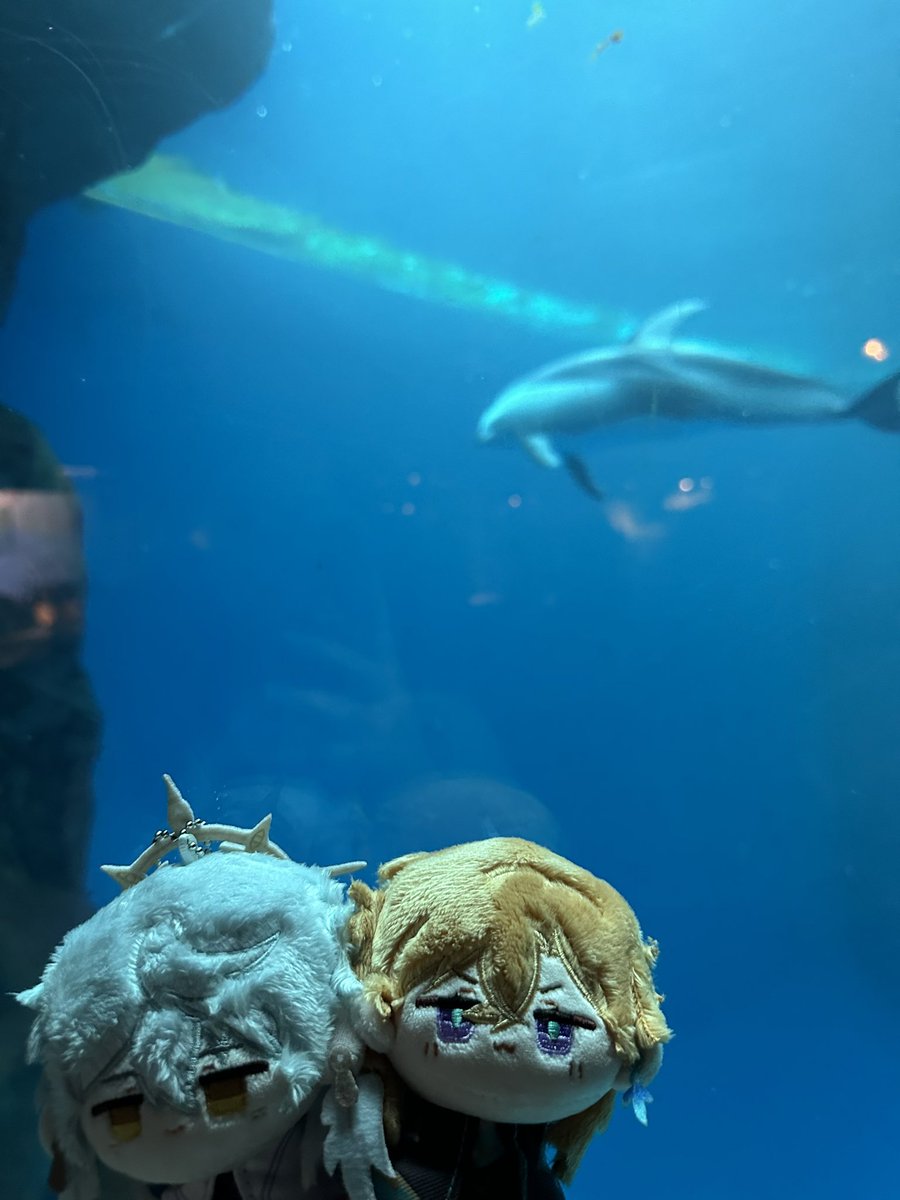 avenplush's tweet photo. Sunturine aquarium date https://t.co/YHRLLnyQpU