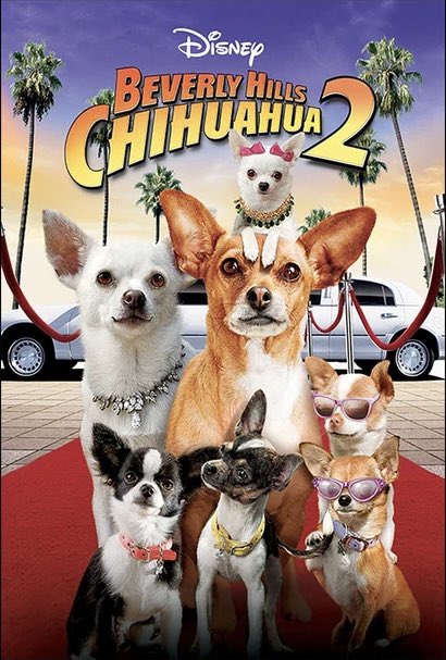 ๐พ แดแดแดษช แดส ๐พ (@xbevhillspapijr) on Twitter photo Me and my family on the cover. <a href="/XBevHillsPapiX/">โจ๏ธ๐พ Pแดแดษช Cแดสแดแดแดข โจ๏ธ๐พ</a> <a href="/XBevHillsChloeX/">๐๐พ ๐๐ฑ๐ต๐ธ๐ฎ ๐ฆ๐ฒ๐ท๐ฝ๐ฑ๐ป๐ธ๐น ๐๐ผ๐ฑ๐ฎ ๐๐พ</a> <a href="/BevHillsAliChih/">๐งก ๐๐ต๐ฒ ๐ก๐ธ๐ผ๐ฎ Cโแตฃโโz ๐งก</a> <a href="/PlayfulPep/">Pep (Mother of 10 of my love's puppies)</a> <a href="/XRosaBevHillsX/">๐๐ฐ๐ด๐ข ๐๐บ๐ฏ๐ฏ ๐๐ฐ๐ณ๐ต๐ฆ๐ป</a> <a href="/BevHillsLalaX/">๐๐ข๐ญ๐ข ๐๐ด๐ฉ๐ฆ ๐๐ฐ๐ณ๐ต๐ฆ๐ป</a> Me and my family on the cover. <a href="/XBevHillsPapiX/">โจ๏ธ๐พ Pแดแดษช Cแดสแดแดแดข โจ๏ธ๐พ</a> <a href="/XBevHillsChloeX/">๐๐พ ๐๐ฑ๐ต๐ธ๐ฎ ๐ฆ๐ฒ๐ท๐ฝ๐ฑ๐ป๐ธ๐น ๐๐ผ๐ฑ๐ฎ ๐๐พ</a> <a href="/BevHillsAliChih/">๐งก ๐๐ต๐ฒ ๐ก๐ธ๐ผ๐ฎ Cโแตฃโโz ๐งก</a> <a href="/PlayfulPep/">Pep (Mother of 10 of my love's puppies)</a> <a href="/XRosaBevHillsX/">๐๐ฐ๐ด๐ข ๐๐บ๐ฏ๐ฏ ๐๐ฐ๐ณ๐ต๐ฆ๐ป</a> <a href="/BevHillsLalaX/">๐๐ข๐ญ๐ข ๐๐ด๐ฉ๐ฆ ๐๐ฐ๐ณ๐ต๐ฆ๐ป</a>