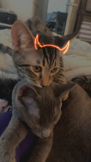 🤦&zwj;♀️😭 https://t.co/nYT9jezjhF<a href="/tag/black"class="tags"><span>#black</span></a><a href="/tag/bigtits"class="tags"><span>#bigtits</span></a>