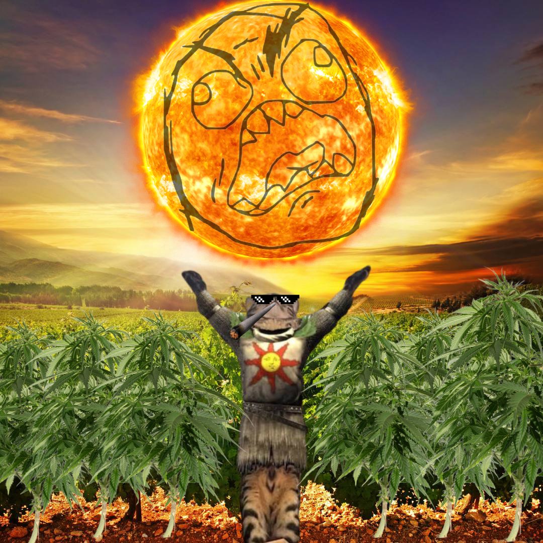 <a href="/TeTheGamer/">Te’ 𓃵</a> we feel some type of way about the sun

so we $praise it

ACqpdsUFw6ggx4X3b1uWQj1zWLCVcNgskChbrn4Lpump
