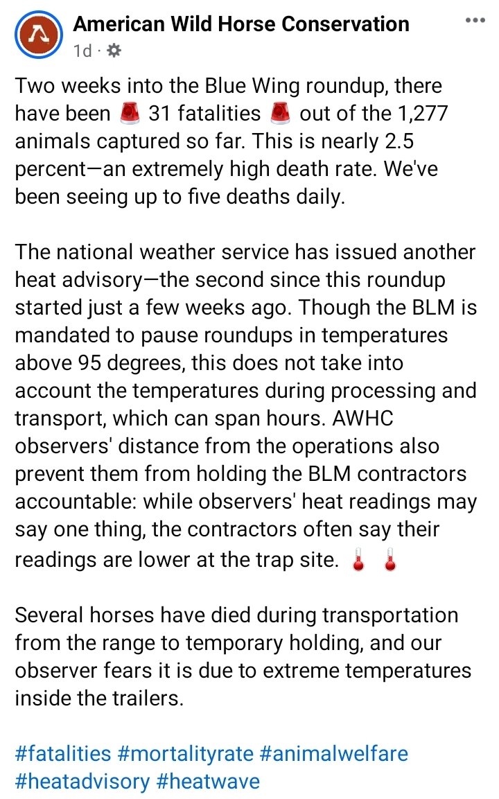 PrancerPaw's tweet image. This is animal cruelty and abuse; it's shameful.  #SaveWildHorses #StopTheTorture #HeatKills #WakeUp @BLMNational
@CNN @CBSNews @FoxNews @NBCNews @SkyNews @BreitbartNews @WorldAnimalNews @ABC
@CoryBooker @SenBooker 
Can you help stop this, please 🙏 
facebook.com/share/p/WYAiWA…