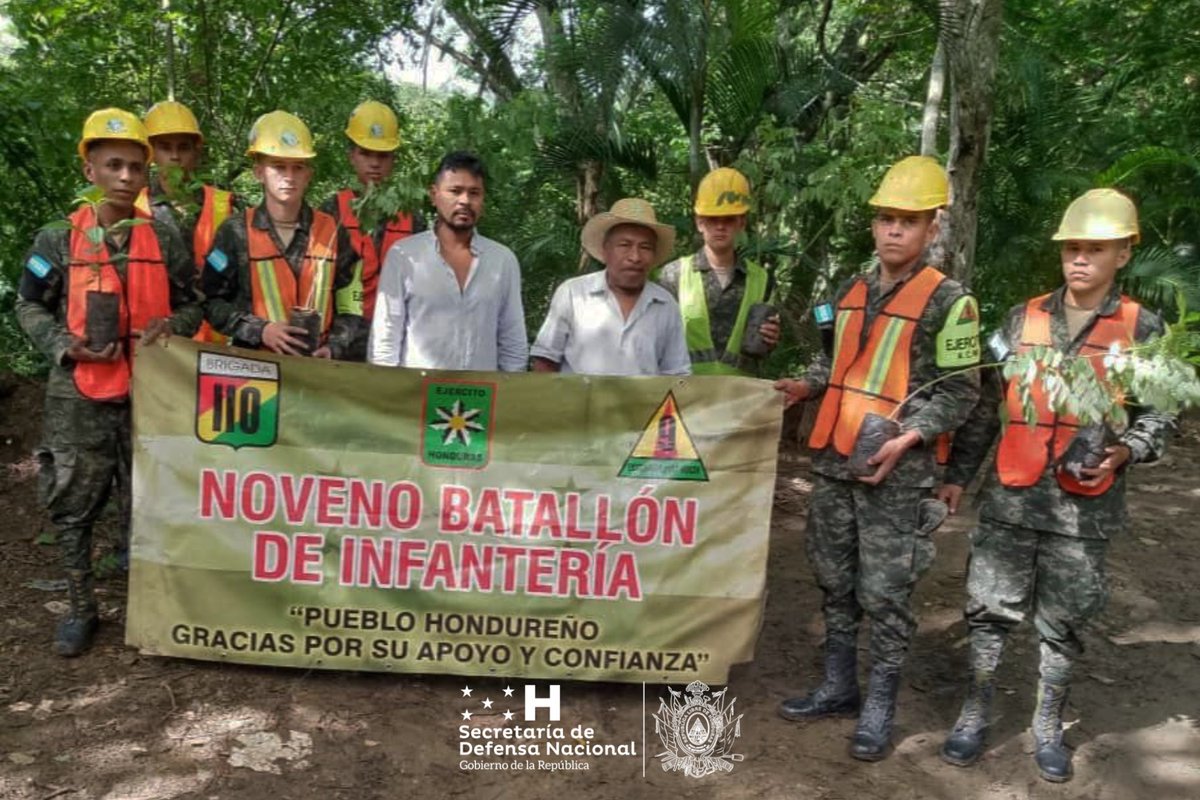 En las últimas horas, en los departamentos de Danlí, Cortés, Valle y Francisco Morazán, con el apoyo de Alcaldías Municipales e integrantes de la Asociación Scouts, unidades militares del Ejército y de la <a href="/AereaHn/">Fuerza Aérea Hondureña</a>, coordinados por el C-9, llevaron a cabo la plantación masiva.