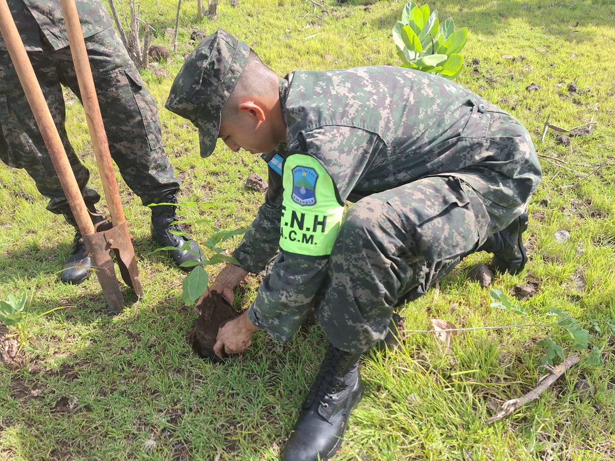 FuerzaNavalHND's tweet photo. Miembros de la Base Naval de Amapala han culminado una exitosa jornada de reforestación en las Islas Inglesera y Coyote, donde plantaron un total de 1,800 árboles. https://t.co/G4ybg9t4P6