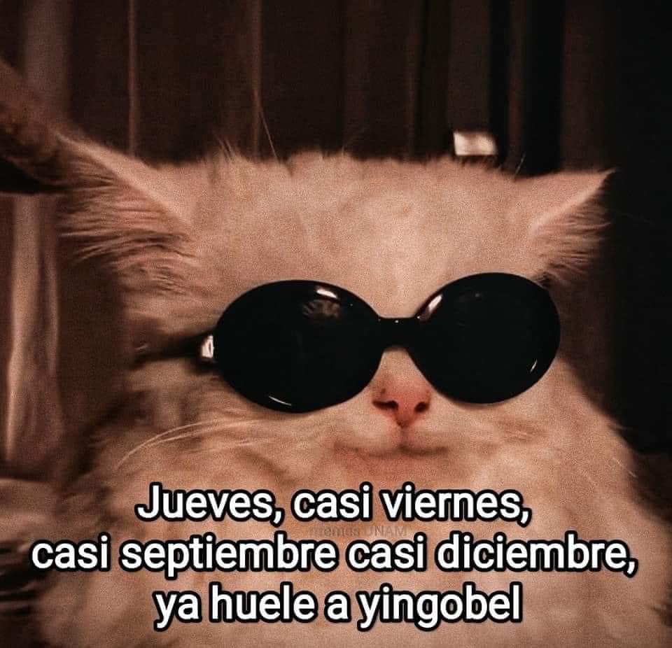 Visual Arts tweet media