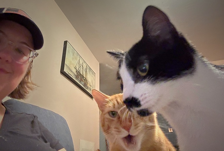 kmorrison's tweet photo. The cats and I are discussing politics.  They are shocked at the unnecessary anti-feline insults.  #Cats4Kamala #Harris2024 #Cats https://t.co/rxDfks5Hxc