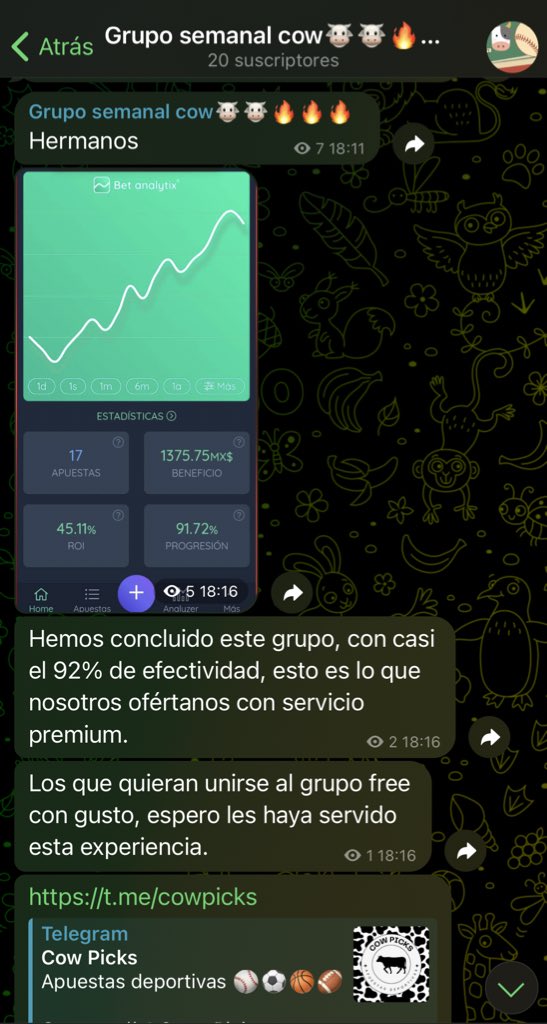 Cow picks 🐮 tweet media