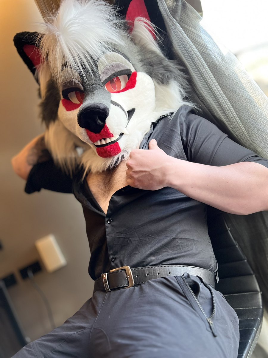 StrikerFoxx's tweet image. Come see the fox at Aurawra this weekend ❤️