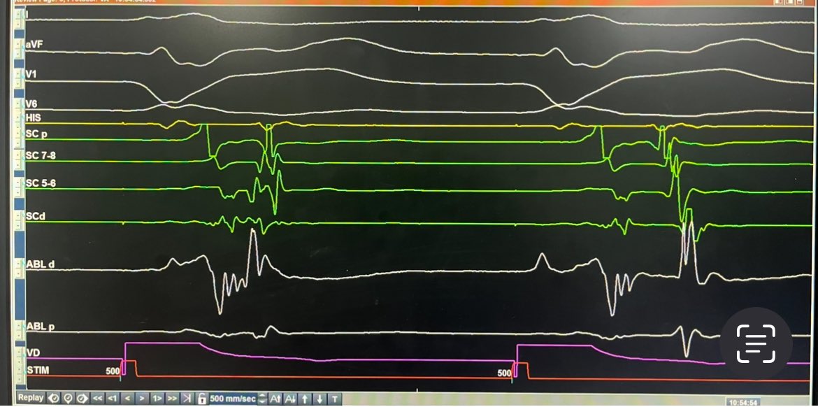 ALBERTO ALFIE tweet media