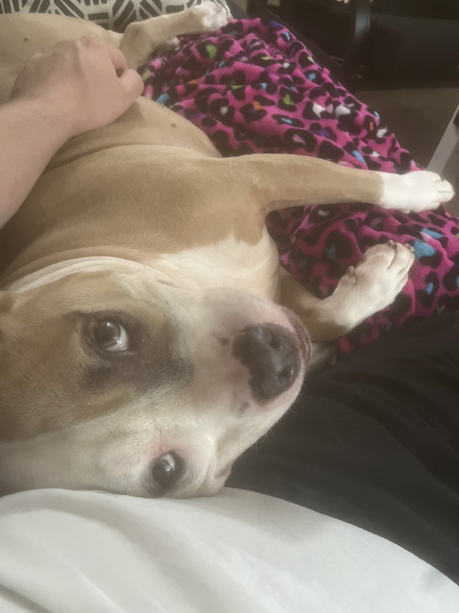 Hayywire tweet media