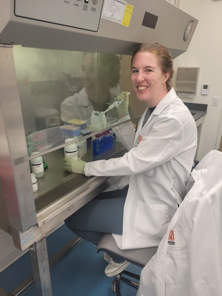 pnwmicroplastics (@pnwmicroplastic) on Twitter photo For #plasticfreejuly we’re sharing the great work our consortium does on #plastics & other pollutants too!
Kate Berreman is a grad student studying effects of #pesticides on euryhaline fish. Here she is extracting samples to conduct RNA seq!
<a href="/OSU_Coastal/">Coastal Oregon Marine Experiment Station</a>
<a href="/emtosu/">EMT Dept OSU</a> <a href="/HatfieldMSC/">OSU Hatfield</a> For #plasticfreejuly we’re sharing the great work our consortium does on #plastics & other pollutants too!
Kate Berreman is a grad student studying effects of #pesticides on euryhaline fish. Here she is extracting samples to conduct RNA seq!
<a href="/OSU_Coastal/">Coastal Oregon Marine Experiment Station</a>
<a href="/emtosu/">EMT Dept OSU</a> <a href="/HatfieldMSC/">OSU Hatfield</a>