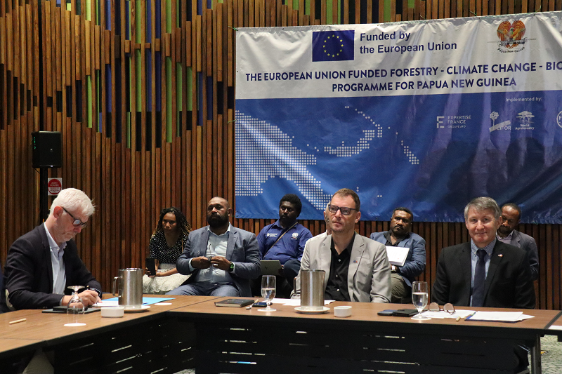 European Union Delegation PNG tweet media