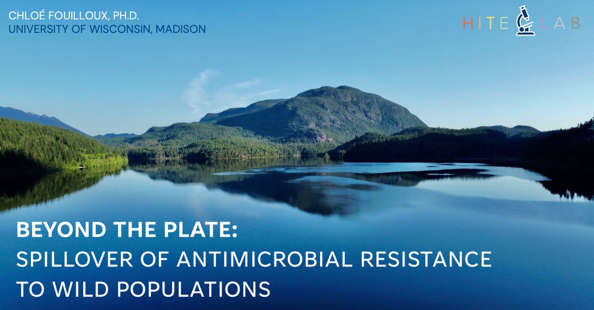 Chloe Fouilloux (she/her) (@chloefouilloux) on Twitter photo Finally made it to Montreal! ๐จ๐ฆ I'm hyped to be presenting my postdoc work @ #Evolution2024. Come and learn about how antibiotic resistance is shaped by  pollution ๐ + habitats ๐ + hosts ๐ on **Monday 3PM 516E**. 
Let's hang out!#Evol2024 <a href="/sse_evolution/">SSE</a> <a href="/eseb_org/">ESEB</a> <a href="/Evol_mtg/">Evolution Meetings</a> Finally made it to Montreal! ๐จ๐ฆ I'm hyped to be presenting my postdoc work @ #Evolution2024. Come and learn about how antibiotic resistance is shaped by  pollution ๐ + habitats ๐ + hosts ๐ on **Monday 3PM 516E**. 
Let's hang out!#Evol2024 <a href="/sse_evolution/">SSE</a> <a href="/eseb_org/">ESEB</a> <a href="/Evol_mtg/">Evolution Meetings</a>