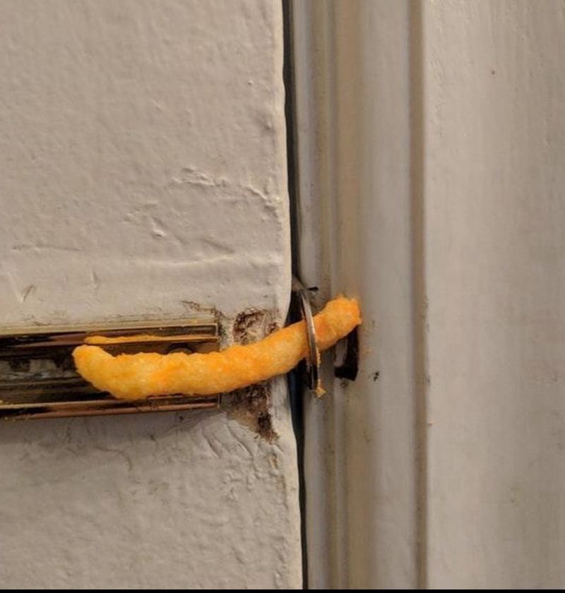 Crypto Bro tweet media