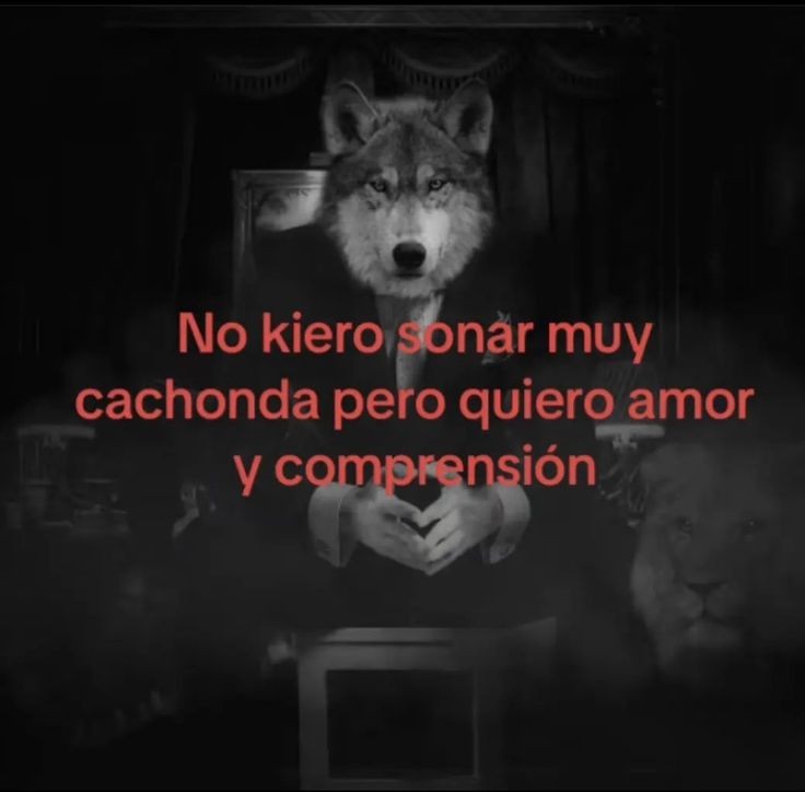 ¸.·✩·.¸¸.·¯⍣✩ ᴿ  ᵁ  ᴸ  ᴱ  ᵀ  ᴬ ✩⍣¯·.¸¸.·✩·.¸
                     ᵇʸ 🌱
      
         🥇 ₃₀ ʳᵒᵇᵘˣ

                  𝘳𝘦𝘲𝘶𝘪𝘴𝘪𝘵𝘰𝘴 ↓
•𝚜𝚎𝚐𝚞𝚒𝚛 𝚊𝚕 𝚌𝚌 𝚌𝚘𝚗 𝚗𝚘𝚝𝚒𝚜 (no ss)
•𝚍𝚊𝚛 𝚏𝚊𝚟 𝚢 𝚛𝚝 (no ss)
•𝚌𝚘𝚖𝚎𝚗𝚝𝚊𝚛 𝚝𝚞 𝚞𝚜𝚎𝚛