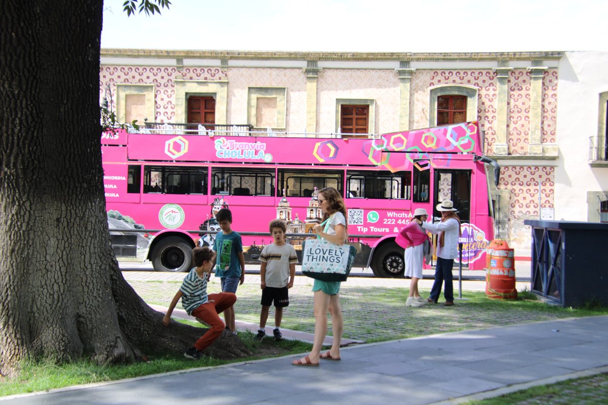 PaolaAngonS's tweet photo. ¡#SanPedroCholula rompe récord en afluencia turística y derrama económica!

+204 mil visitantes y 222 millones de pesos de derrama económica, generados de enero a mayo de 2024, un 20% más que en 2023. 

¡Gracias a todos por este éxito! 🌟 

#ChulaMiCholula https://t.co/ruQx7ET3MK