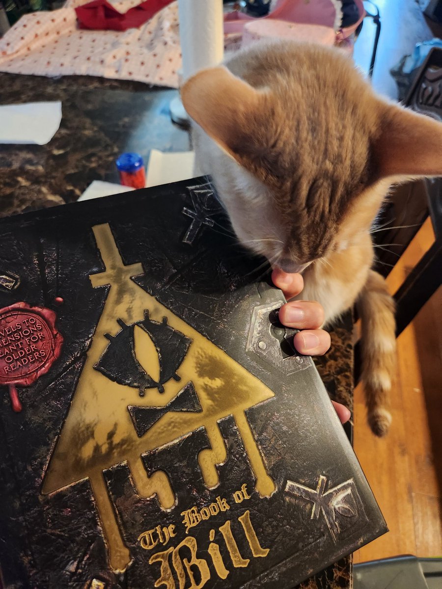 I just got my copy of the book of Bill. Can't wait to see what weirdness is inside. Cat wants to read it too.