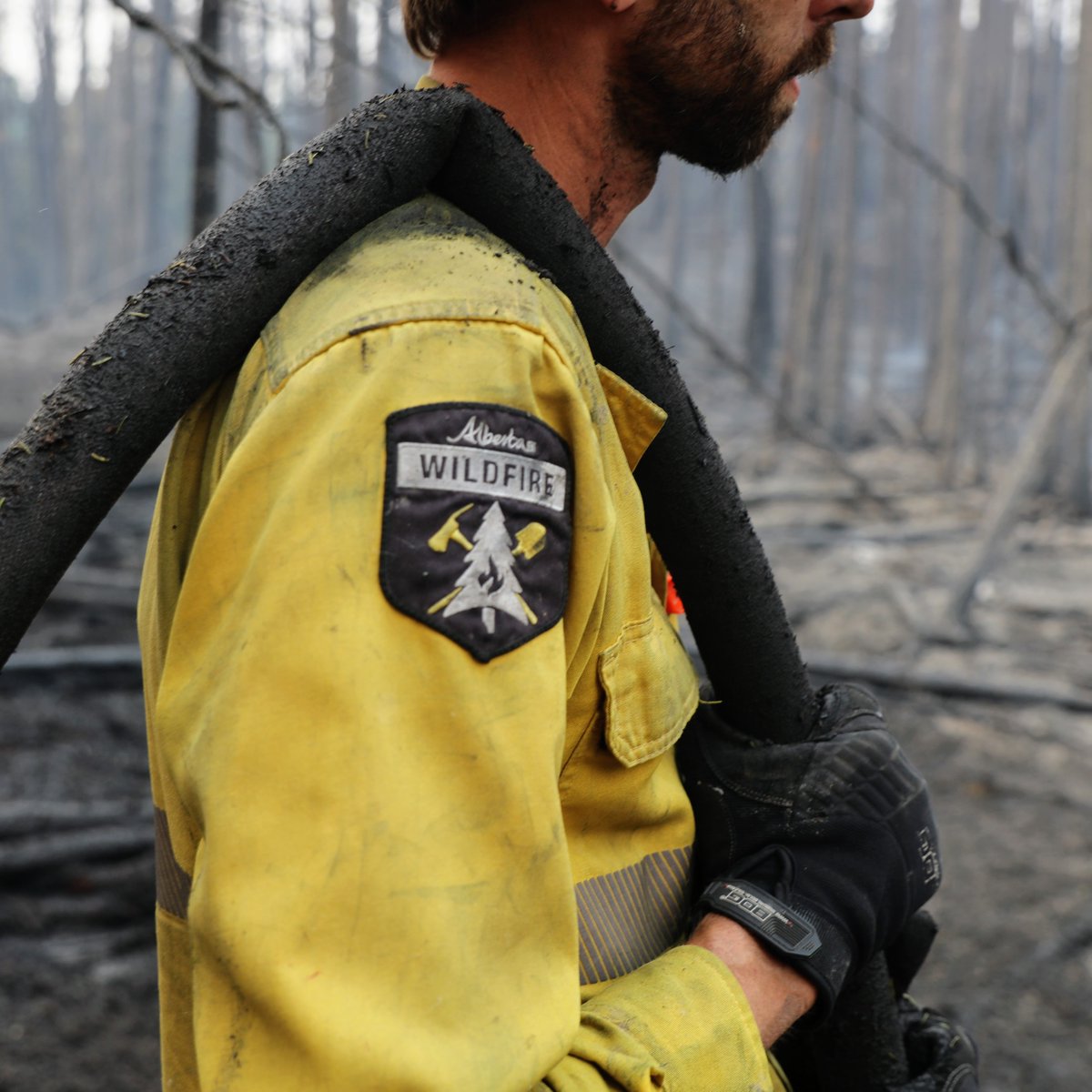 Our hearts go out to all those affected by the fires in Jasper. Alberta Wildfire will continue to support Parks Canada as they work to contain these fires. For updates, visit jasper-alberta.ca. Learn how you can help with the wildfire response at alberta.ca/how-you-can-he…