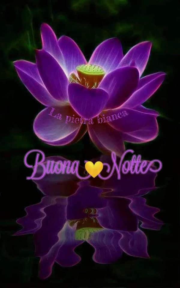 RITABIANCHi56 tweet media