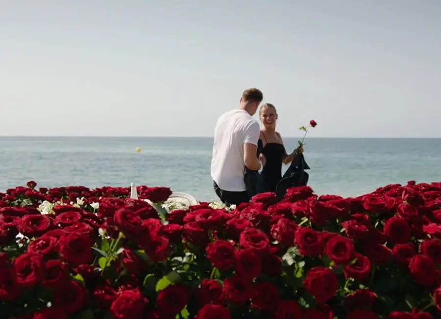 may 🌺 tweet media